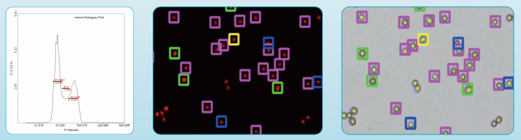 image.png image.png