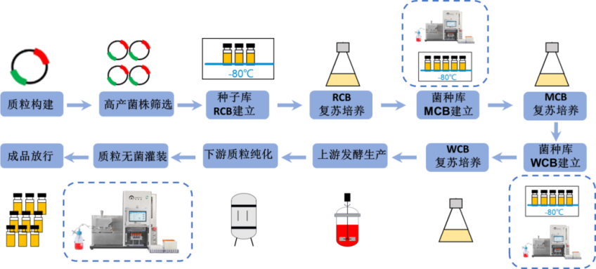 [Bookmark] Automated Filling Solutions for Cell Banks, Strain Banks, and Plasmid Banks