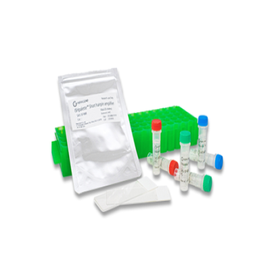 ISHpalette™ Short hairpin amplifier