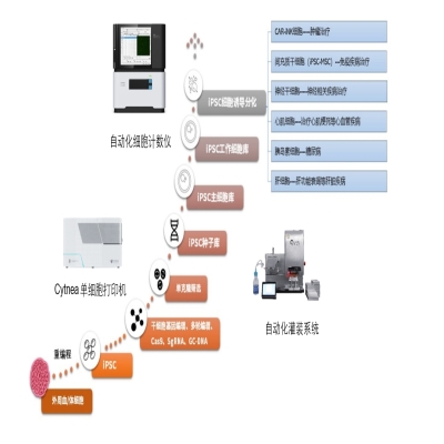Solution for Single-Cell Cloning and Library Establishment of iPSC-derived Stem Cells