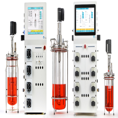 Optimization of Bioreactor Culture Process for Influenza B Vaccine Strain