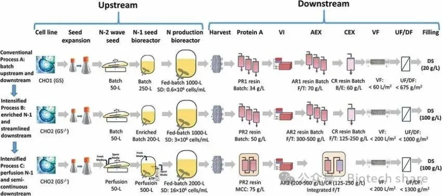 Process Evolution: The Iterative Transformation from Traditional Cultivation to Intensified Processes